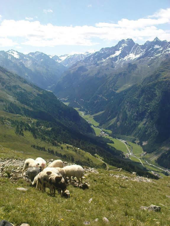 Ferienwohnung Bergspitz Sankt Leonhard im Pitztal Luaran gambar